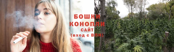 PSILOCYBIN Вязники