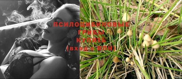 PSILOCYBIN Вязники