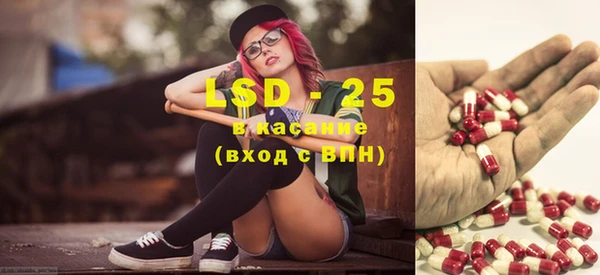 PSILOCYBIN Вязники