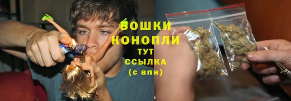 PSILOCYBIN Вязники