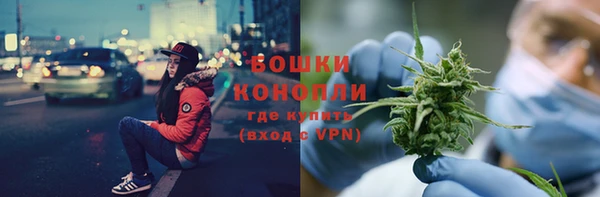 PSILOCYBIN Вязники