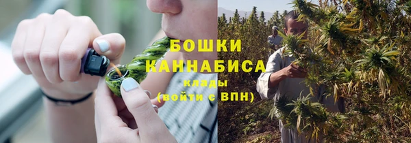 PSILOCYBIN Вязники