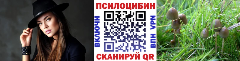 Псилоцибиновые грибы прущие грибы Симферополь