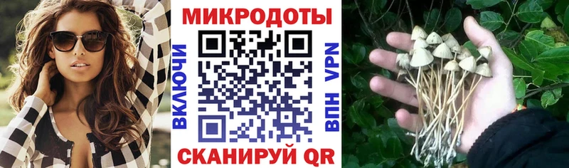 гидра ссылка  купить закладку  Симферополь  Псилоцибиновые грибы Magic Shrooms 