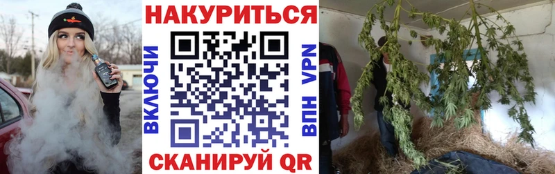 Шишки марихуана план  как найти   Симферополь 